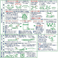 摜KCh